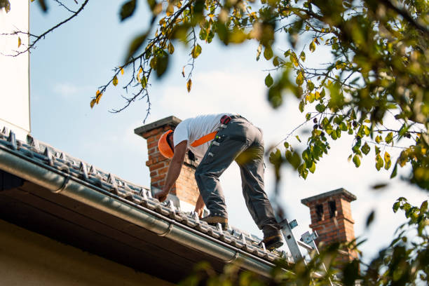 Best Metal Roofing Contractor  in Leetonia, OH